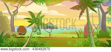 Jungle Vines. Dense Thickets. Morning Sunrise Dawn Or Evening Sunset. View From The Forest. Southern