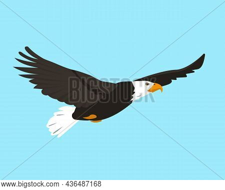 North American Bald Eagle Flying In Sky. Bird Icon Isolated On Blue Background. Eagle Bird For Natur
