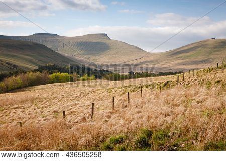 Welsh Countryside Landscape With Pen Y Fan Mountain In The Distance. Brecon Beacons, South Wales, Uk