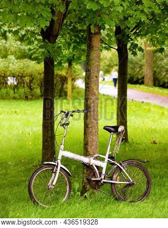 An Old Bicycle With Rust Marks, Scratches, And Scuffs Leaned Against A Tree In The Park. Trees, Gras