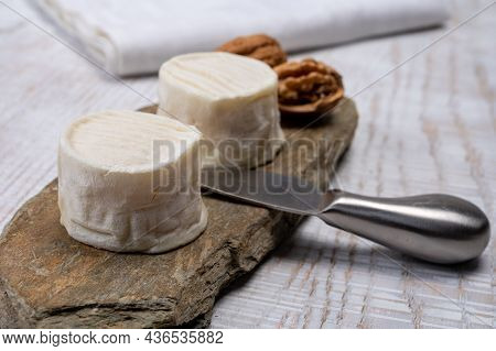 Cheese Collection, Soft Goat French Cheese With Mold Crottin De Chavignol Produced In Loire Valley