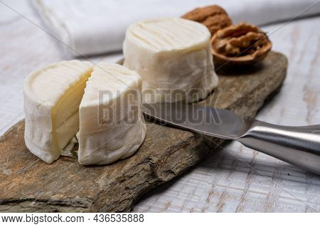 Cheese Collection, Soft Goat French Cheese With Mold Crottin De Chavignol Produced In Loire Valley