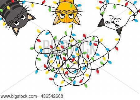 Cats Tangled Christmas Lights On White Card