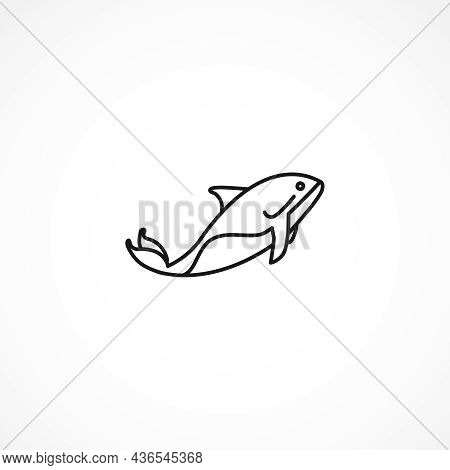 Orca Killer Whale Vector Icon On White Background
