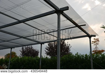 In Ornamental Plant Nurseries, It Is Necessary To Protect Some Ferns And Delicate Species From The S