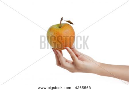 Apple v ruce