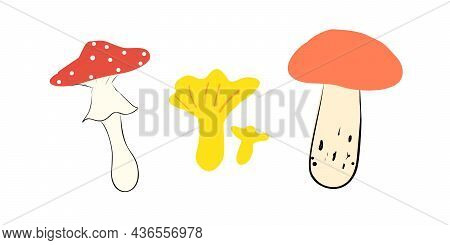 Mushroom Set In Doodle Style. Fly Agaric, Chanterelle And Boletus Isolated On White Background. Fore