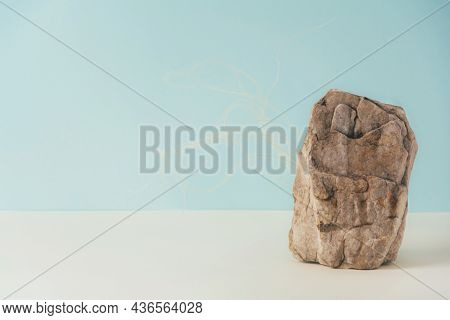Creative Stone Podium For Cosmetics Or Products With Dreid Plant On Pink Background. Marketing Scene