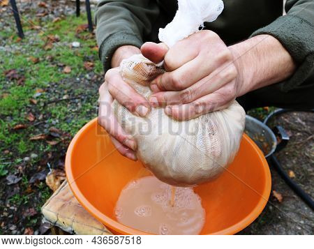 Intense Squeezing Of Fruit Material Wrapped In Cheesecloth By Male Hands And Squeezing The Juice Int