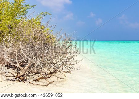 Natural Tropical Turquoise Sandbank Islands Madivaru Finolhu Rasdhoo Atoll Maldives.