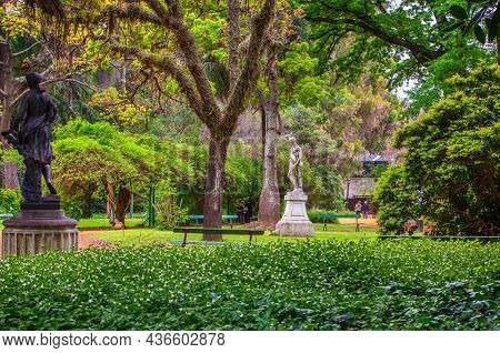 Buenos Aires, Argentina,  10.10.2021 landscape of the botanical garden of the city of Buenos Aires