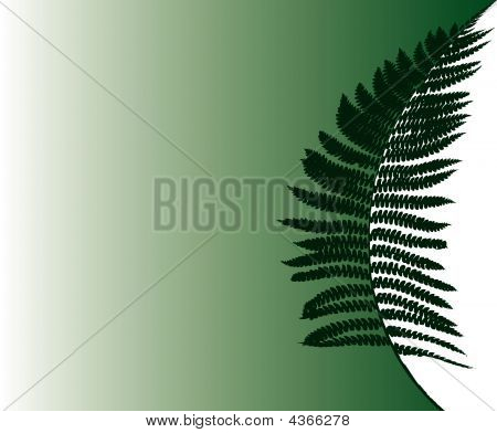 Felce Floral Background