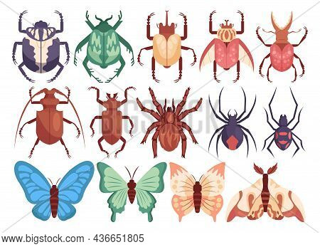 Vector Insect Set. Cute Bugs, Butterflies, Moths And Beetles. Hand Drawn Insects