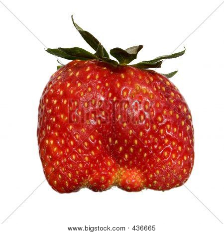 Sac à main de vitamines