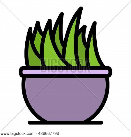 Flower In A Large Pot Icon. Outline Flower In A Large Pot Vector Icon Color Flat Isolated