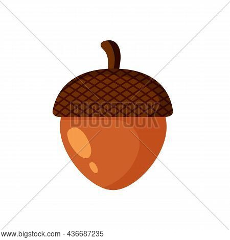 Acorn Isolated On White Background. Autumn Concept.  Acorn, Oak Nut, Seed. Vector Stock