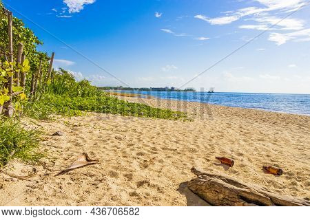 Tropical Mexican Beach With Palm Trees Playa Del Carmen Mexico.