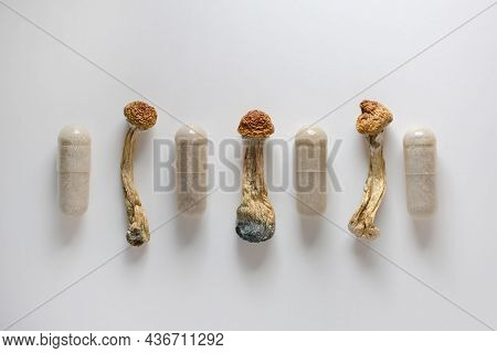 Micro Dosing Concept. Dry Psilocybin Mushrooms As Natural Herbal Pills On White Background. Psychede