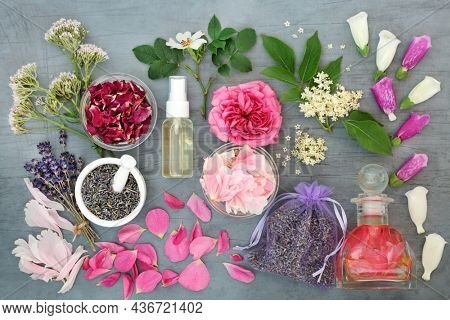 Healing herbs and flowers for natural herbal plant medicine remedies and essential oil preparation. Health and wellness concept. Top view, flat lay on mottled grey background.