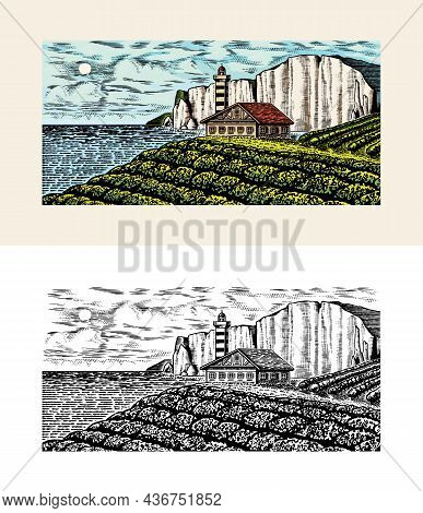 Scenic View Of Vineyards And Rocky Mountains. Fields And Hills Of Tuscany. Panoramic Vine Plantation