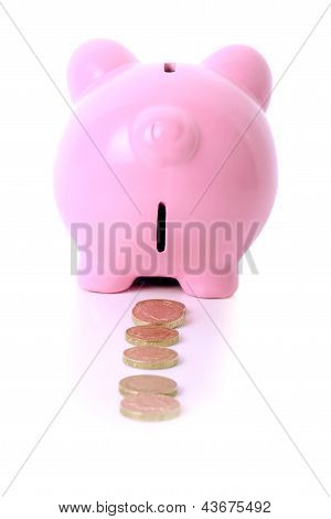 Piggy Bank Trail