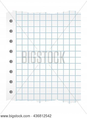 Squared Paper Torn On Edges. Blank Notebook Sheet.