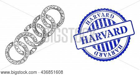 Vector Network Circle Chain Framework, And Harvard Blue Rosette Scratched Seal Print. Linear Frame N