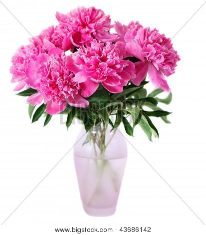 Rosa Pfingstrose Blumen In Vase