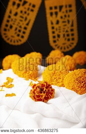 Cempasuchil Orange Flowers Or Marigold. (tagetes Erecta) Traditionally Used In Altars For The Celebr