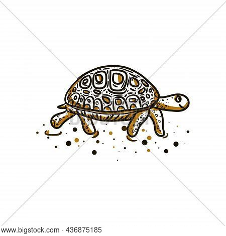 A Turtle Runs Across The Sand On A White Background.
