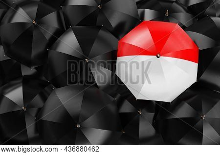 Umbrella With Indonesian, Monacan Flag Among Black Umbrellas, Top View. 3d Rendering