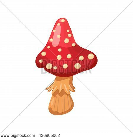 Mushroom Amanita, Magic Poisone, Red White Color. Vector Illustration Cartoon Style