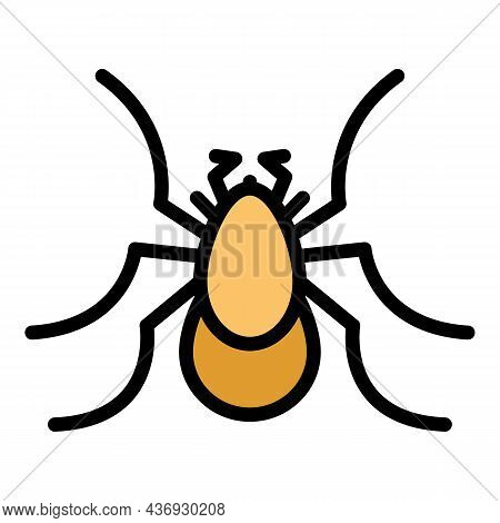 Jump Insect Icon. Outline Jump Insect Vector Icon Color Flat Isolated