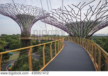 Singapore- Sep 9, 2021: Ocbc Skyway Aerial Walkway Between Supertree Grove Artificial Tree Construct
