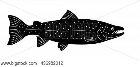 Silhouette Of Atlantic Salmon Is On A White Background.