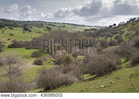 Views Of The Tejada Stream, In The Dehesa Of Navalvillar, Colmenar Viejo, Madrid, Spain