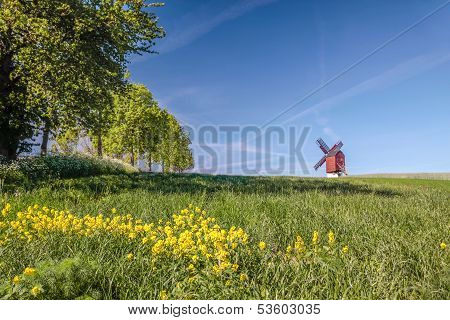 Traebene Mill Windmill With Green Fields