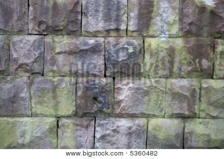 Sanstone Moss Wall