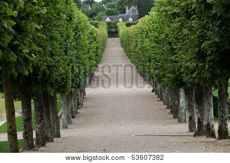 Splendid decorative gardens at castles in France