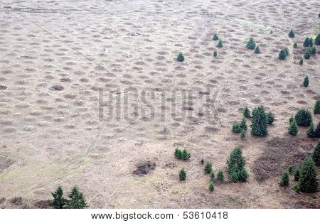 Mima Mounds