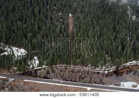 Washington Forest Mudslides