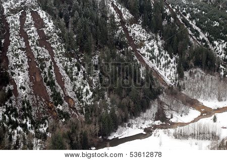 Washington Forest Mudslides