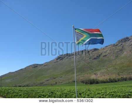 SA vlajky a Hill