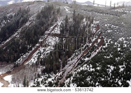 Washington Forest Mudslides