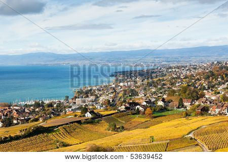 Vineyards In Lavaux Region - Terrasse De Lavaux, Switzerland
