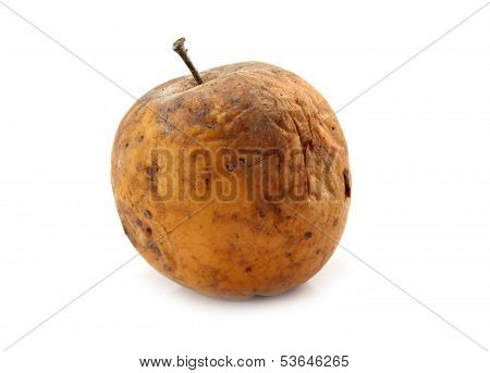 Rotten Apple Isolated