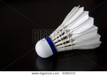 Uccello di badminton