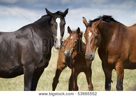 Family portrait