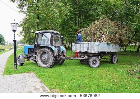Garbage Collection In The Park In Gomel