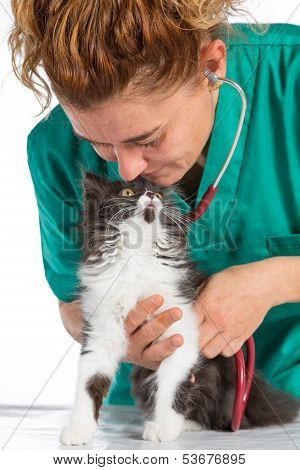Veterinary With Kitten